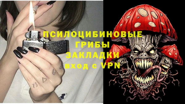 ГАЛЛЮЦИНОГЕННЫЕ ГРИБЫ Армянск