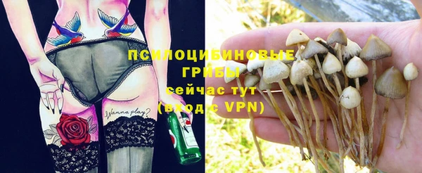 прущие крисы Аркадак